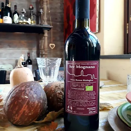 Фермерский дом Bio Valle Dei Calanchi *