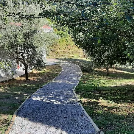 Bio Valle Dei Calanchi Castiglione In Teverina