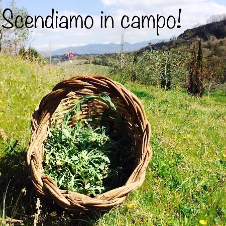 Bio Valle Dei Calanchi Castiglione In Teverina